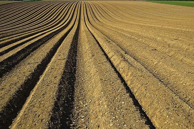 Les engrais agricoles