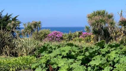 Jardin de Vauville