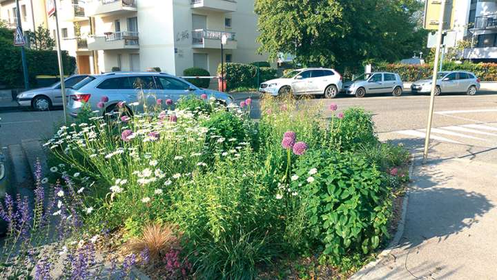 Loi Labbé : comment évolue l'espace public depuis l'interdiction des pesticides ?