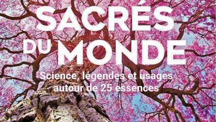 Arbres sacrés du monde - Aurélie Valtat