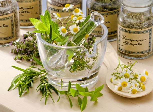 plantes et santé