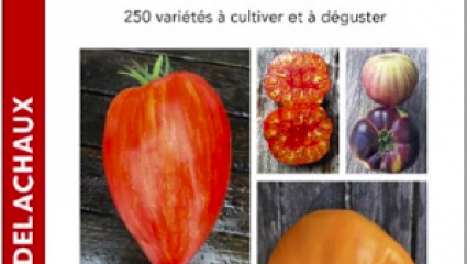 Guide des tomates