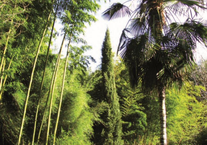 Jardin de Planbuisson