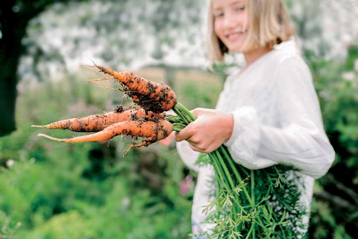 Le pouvoir insoupçonné des carottes pour les diabétiques