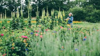 Catherine Segretain : La biodynamie, une agriculture énergétique