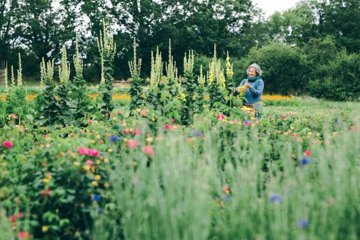 Catherine Segretain : La biodynamie, une agriculture énergétique