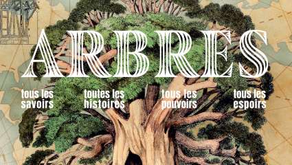 Arbres