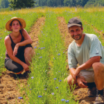 Les Sens en Herbe