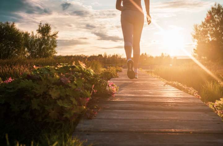 Le mouvement, secret d'une forme au beau fixe