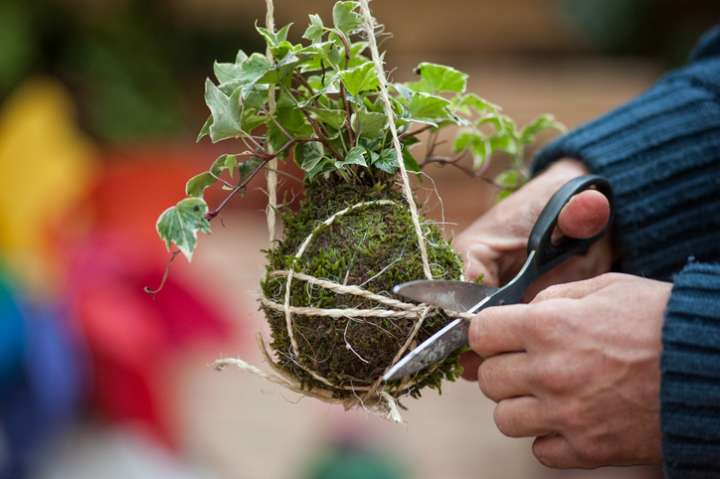 Le kokedama  - Un art végétal japonais pour sublimer les plantes d'intérieur
