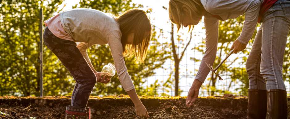 Ce printemps, semez des variétés locales et typiques