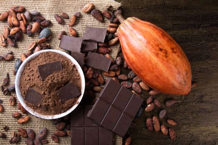 Chocolat noir et cru : bienfaits, conseils et erreurs à éviter pour profiter de ses vertus santé