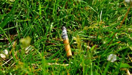 Une nouvelle loi interdit de fumer en forêt durant les périodes à risque d’incendie