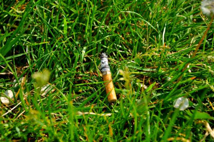 Une nouvelle loi interdit de fumer en forêt durant les périodes à risque d’incendie