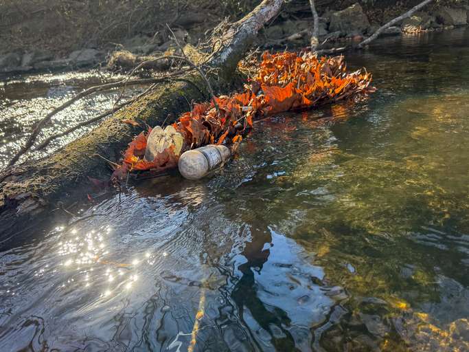 PFAS, la fin de l'éternelle impunité ?