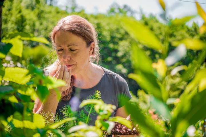 Salades sauvages : bienfaits, cueillette et conseils pour les intégrer à votre alimentation
