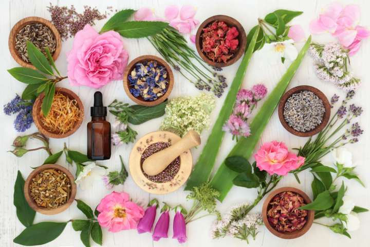 Plantes et médicaments : gare aux interactions !