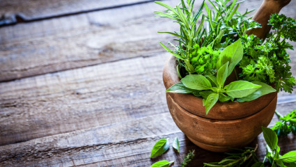 Plantes médicinales