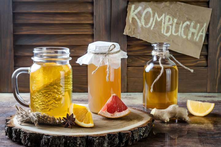 Quel thé choisir pour quel kombucha ?