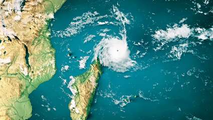 Mayotte, restaurer les forêts après le cyclone