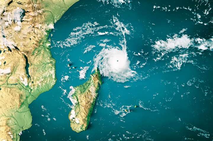 Mayotte, restaurer les forêts après le cyclone
