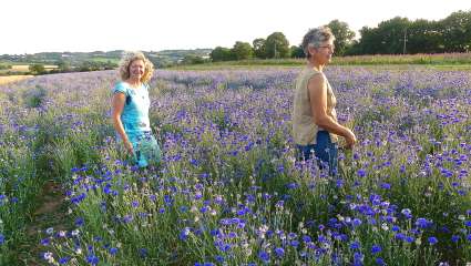 Brigitte Qaghebeur & Catherine productrice de bleuet