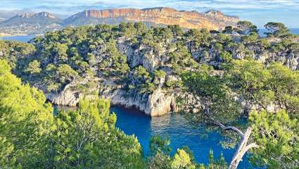Marseille il y a un million d’années - Un paradis écologique à préserver