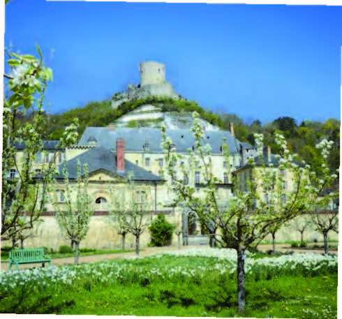 fête des plantes