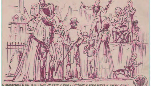 Illustration de 1945 sur l'herboriste 