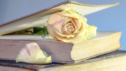 Livres : Botanical Expertise, Zéro gluten et Sauver la planète