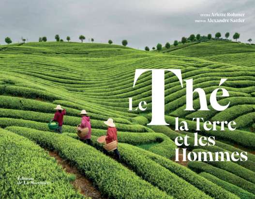 Le thé, la terre et les hommes - Arlette Rohmer et Alexandre Sattler