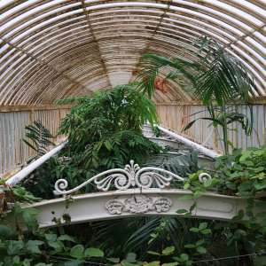 Les serres botaniques de Kew Gardens, un univers majestueux