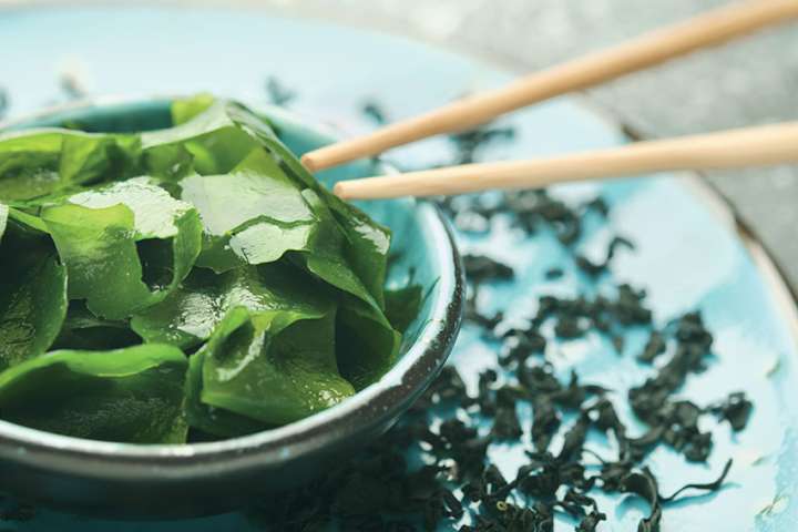 L'iode alimentaire, un essentiel en complément