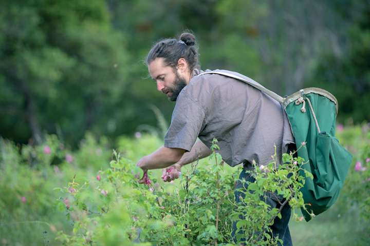 Yann Potié, Verdon Roses et Arômes